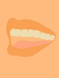 Laura gonzalez dds cosmetic dentist serves clientele from miami to west palm beach. 35 Dental Blog Ideas Dental Dental Health Dentist