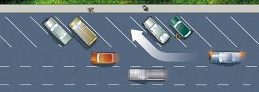 The problem with parking on grass or dirt is the high moisture level. Parking Sgi