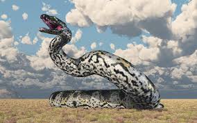 Snakes are usually what you would term generalists that will eat whatever they. Titanoboa The Monster Snake That Ruled Prehistoric Colombia Ancient Origins