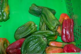 They have colorful colors that go from green to the yellow, and then orange to red as they mature. Chile Zum Zweiten Seit 19 Jahren Im Lkw Auf Reisen Oder Wie Schnell Sich Doch Alles Andern Kann