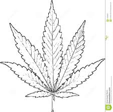 K2 liquid spray each a4 sheet is installed with 25 ml=0. Marijuana Stock Illustration Illustration Of Legalize 41090824