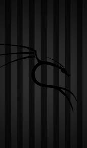 Kalilinux explore kalilinux on deviantart via deviantart.com. Android Kali Linux Wallpaper For Mobile Wallpaperandro