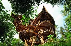 Wake up with the birds chirping in the morning and enjoy the incredible view over the quiet rice terraces from your bedroom. Bamboo House Why Should You Opt For Them With 8 Examples