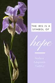 Are You Like An Iris There S Hope Hope Flower Hope Symbol Iris
