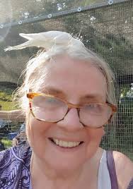 Sandra Helsely Obituary (2020)