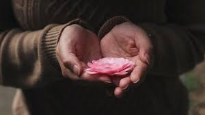 38 Kata-Kata Mutiara Bijak tentang Membuat Pilihan dalam Hidup - Ragam  Bola.com