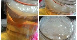 Apakah ada hubungannnya dengan nabi ismail? Cendawan Mekah Cara Minum