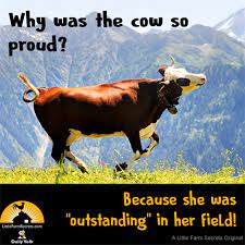 Why Was The Cow So Proud Because She Was Outstanding In Her Field Sillyjokes Silly Jokes Dads Funny Jokes For Kids Animal Jokes Funny Animal Jokes