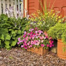 Rindenmulch ist die geheimwaffe in der kreativen vorgartengestaltung. Rindenmulch Garten Beet Weg Abdeck Mulch Grob 20 60mm 70l X 12 Sack 840l Palette Ebay