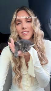 Oh my gosh!!? 🤗🥹, #kittens #3weekoldkitten #nursingkittens #straycat