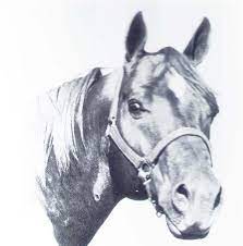 Peptoboonsmal (peppy san badger x royal blue boon x boon bar), foaled in 1992, was bred by larry hall, weatherford, texas. Peppy San Aqha