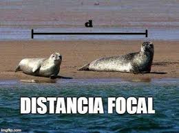 Distancia Focal Memes Divertidos Humor De Viernes Humor De Miercoles