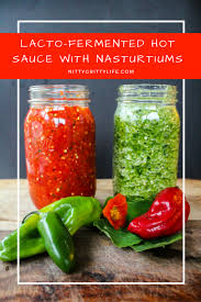 Sep 25, 2015 · place the hot peppers and garlic cloves in a glass jar. Top Fermented Hot Sauce Recipes Fermented Food Lab