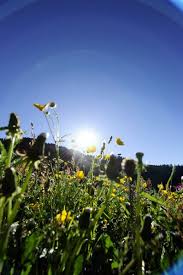 Fruhling In Liechtenstein Spring At Liechtenstein Central Europe Natural Landmarks Europe