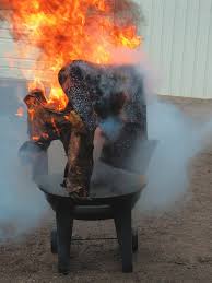 Halon gas, aviation number 1 fire extinguisher, bcf 1211 & 1301, aviation training solutions. Fire Extinguishers Halon Not Dry Chem Aviation Consumer