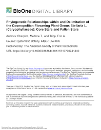 Image result for Stellaria mannii