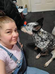 Challenges of photographing pets