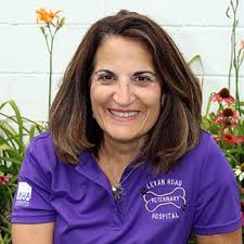 Our Team in Livonia, Michigan