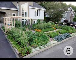 Grow A Front Yard Vegetable Garden With Flowers Front Yard Garden Design Front Yard Garden Growing Food