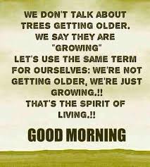 It S Your Journey You Set The Rules Namaste Good Morning Quotes Good Morning Inspirational Quotes Morning Quotes