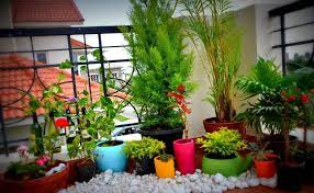 6 Diy Small Space Gardens Small Balcony Garden Small Space Gardening Apartment Balcony Garden
