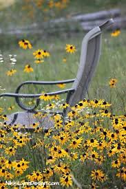 Use color to catch birds' attention, but provide good food. Wildflowers That Attract Birds To Your Yard How To Attract Birds Wild Flowers Planting Flowers