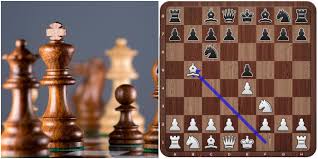 A comprehensive guide to chess openings. 10 Best Chess Openings That Every Beginner Should Know