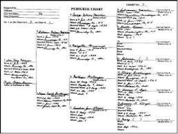 Pedigree Or Family Tree Charts National Archives