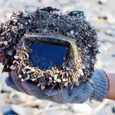 Camera found after 2 years lost at sea - ABC News