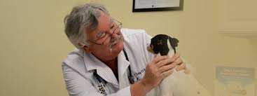 We did not find results for: Winchester Animal Hospital Va