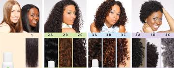 Curl Type Chart Gallery Of Chart 2019