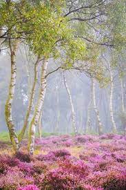 Pin By Doreen Vroman Art On 0 United Kingdom Europe Beautiful Nature Beautiful Landscapes Landscape Photography