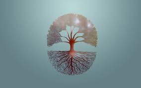 programmer wallpaper tree of life hd 1600x1000 wallpaper teahub io programmer wallpaper tree of life hd