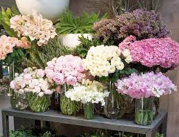 75 years of exceptional flowers. Hingham Ma Floral Gallery Winston Flowers