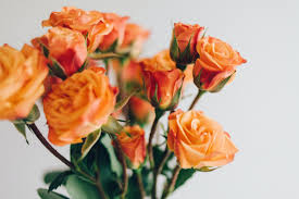 If you're struggling to find cool wedding anniversary gifts by year, here's the full list that corresponds to the symbolic meanings of each anniversary i guess most of you know that every wedding anniversary is related to a specific symbol, theme, gemstone, and flower according to their meanings. Anniversary Gifts By Year All The Traditional Modern Anniversary Gifts