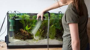 As long as you replace the water in your fish tank in accordance with its size and stocking, you should be fine. Should You Vacuum Your Aquarium Gravel