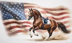 2026 PEC Horse Park Dressage Show #2