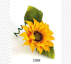 Koleksi oleh the secret garden. Umum Bunga Matahari Desain Bunga Bunga Potong Gambar Png