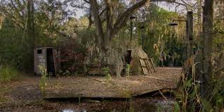 Maybe you would like to learn more about one of these? 16 Hauntingly Beautiful Photos Of Disney S Abandoned Water Park Abandoned Water Parks Abandoned Theme Parks Disney River Country