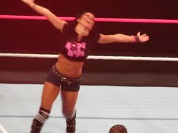 Divas PicsGIFS Thread XXIX: Im An AJ Lee Guy | Freakin Awesome Network  Forums