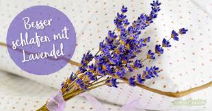 Hersteller oder vertreiber von ätherischen ölen müssen ihre produkte deklarieren und sich entscheiden, nach welcher gesetzesgrundlage sie ihre. Besser Schlafen Mit Lavendel Die Besten Tipps Und Rezepte