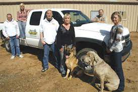 Murrieta pest control professionals, choose griffin pest management for quality pest control services in murrieta. San Diego Pest Control Pest Control And Termite Control California About Destructive Termites In San Diego Pest Control And Termite Control Services Consumer Protection Advice Pest Control
