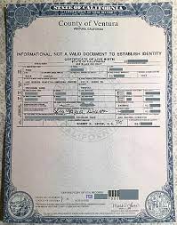 File:california Informational-Only Long-Form Birth Certificate.jpg -  Wikimedia Commons