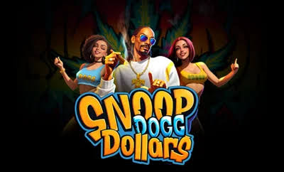Snoop Dogg Dollars Slot Machine (BGaming) Review | NovNetco