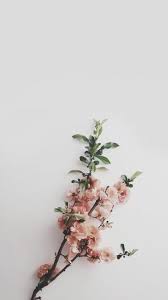Aesthetic black floral pinterest wallpapers. P I N T E R E S T Adrianam357 Minimalist Wallpaper Flower Wallpaper Iphone Wallpaper Hipster