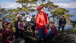 Aaron Ovando: guardián del bosque