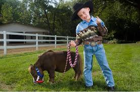 самый большой конь в мире занесенный в книгу гиннеса Loshadi V Knige Rekordov Ginnesa