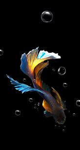 Hd phone wallpaper unlimited free wallpaper | Fish wallpaper, Fish art,  Fish drawings