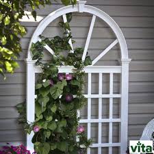 Due to its malleable nature, you're more likely to be able to find it in a variety of shapes and. Garden Decor Costco Uk