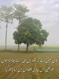 Punjab Village Life Poetry Urdu Poetry Village Life Life Urdu Poetry